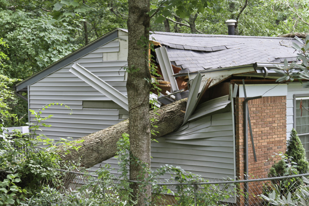 Emergency Roof Repairing Service