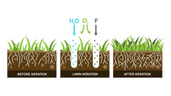 Graphic of how water, oxygen and fertilizer help your lawn grow