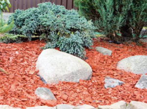 landscape design with feature rocks and shrubs
