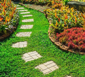 Stepping stones in lawn through landscaping