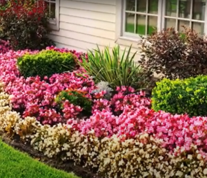 Flower bed in front of house