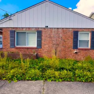 1178 Mayfield Heights