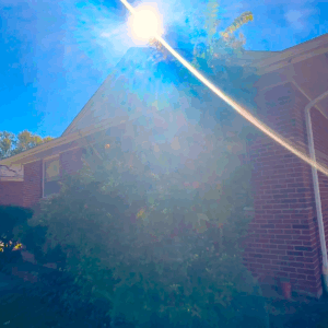 19120 Warrensville Heights