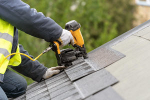 Professional Roofing Experts
