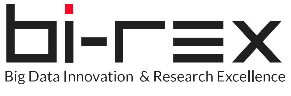 BI-REX_positivo_PNG (1)