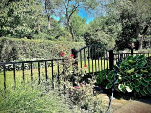 Fence1-1024x768