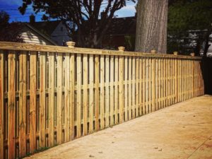 Fence4-1024x768