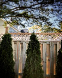 Fence5-819x1024