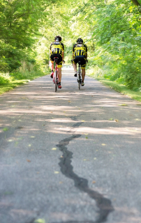 road cycling is a great for of cardio and endurance sport