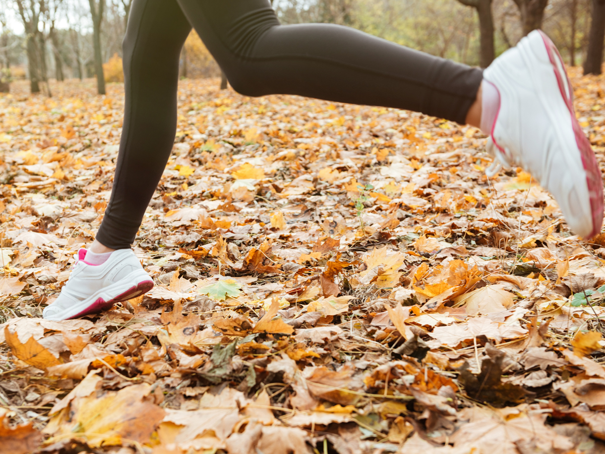 Fall Fitness Routine