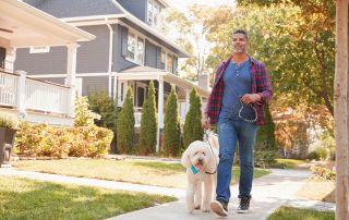 manage holiday stress by talking breaks and walk the neighborhoods or take the dog for a walk
