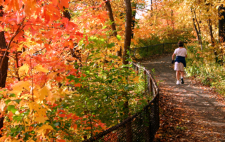 fall hiking in cleveland metroparks