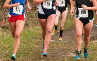 High School Cross Country Runners in the Fall