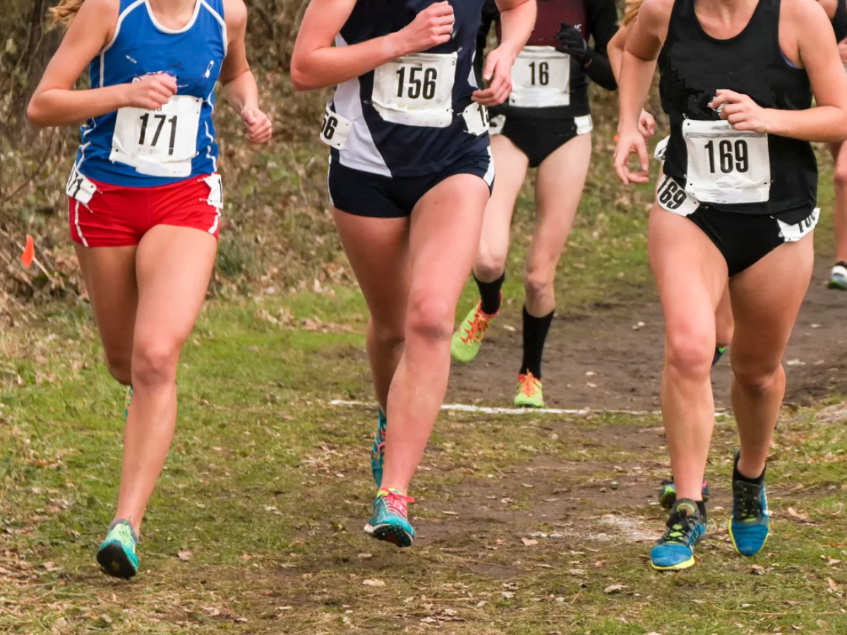 High School Cross Country Runners in the Fall
