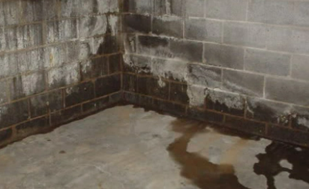 Dealing With Leaky Basement Walls