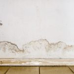 damp basement
