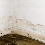 basement water damage