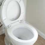 Steps to Fix Your Toilet at Home