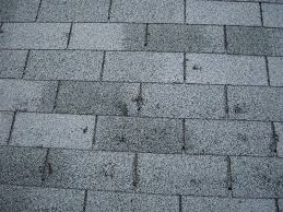 Hail Damage to Roof Singles